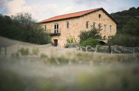 wine garden. ייקב אמפורה